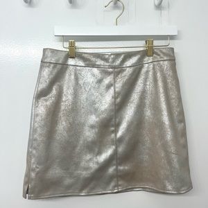 Cupcakes and Cashmere Silver Mini Skirt